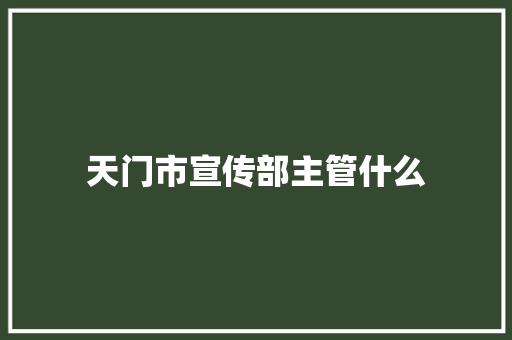天门市宣传部主管什么