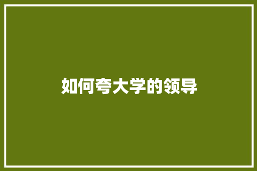 如何夸大学的领导