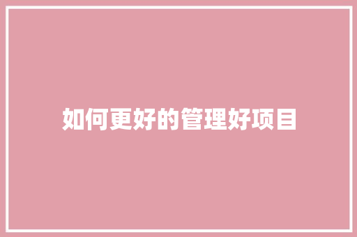 如何更好的管理好项目