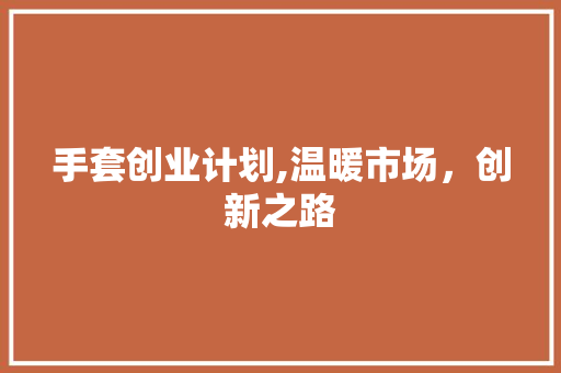 手套创业计划,温暖市场，创新之路