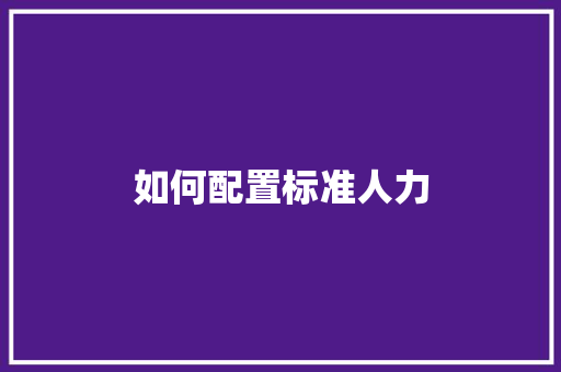 如何配置标准人力