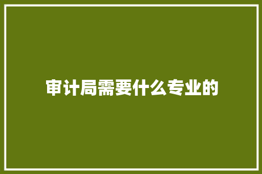 审计局需要什么专业的