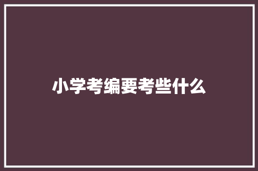 小学考编要考些什么