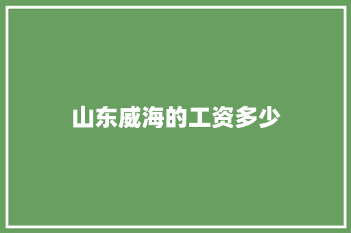 山东威海的工资多少
