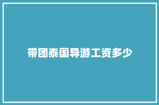 带团泰国导游工资多少 反义词汇