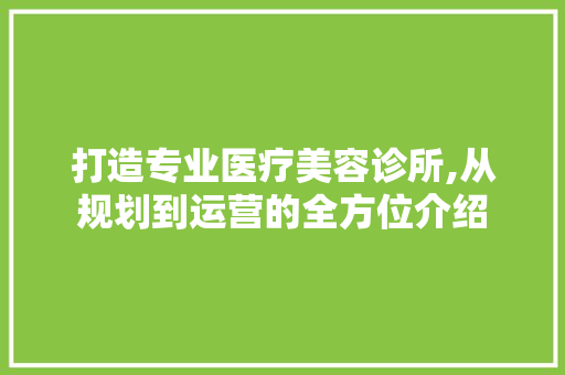 打造专业医疗美容诊所,从规划到运营的全方位介绍