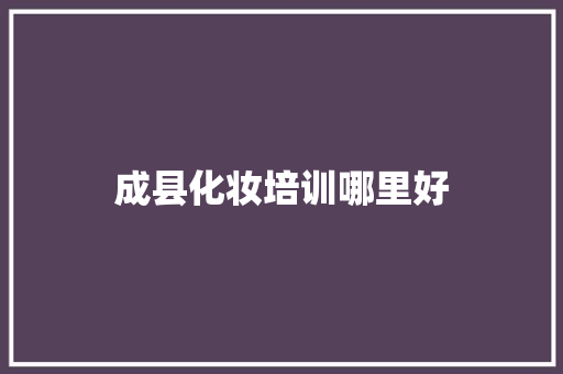 成县化妆培训哪里好