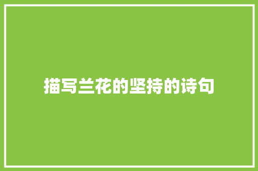 描写兰花的坚持的诗句