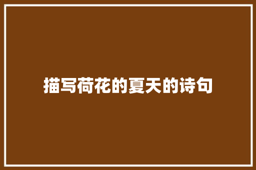 描写荷花的夏天的诗句