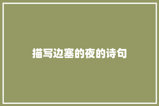 描写边塞的夜的诗句