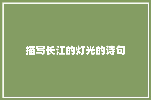 描写长江的灯光的诗句