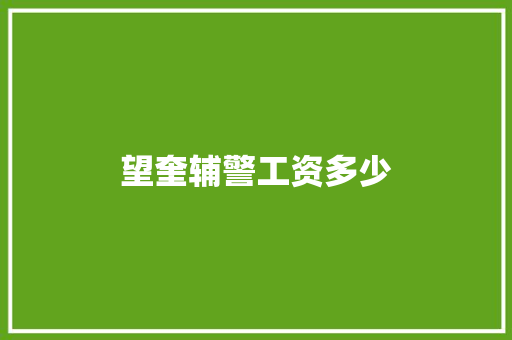 望奎辅警工资多少