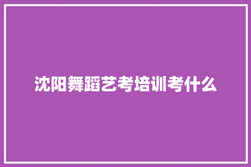 沈阳舞蹈艺考培训考什么