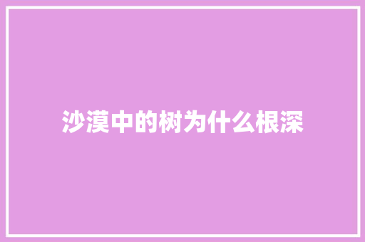 沙漠中的树为什么根深