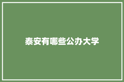 泰安有哪些公办大学