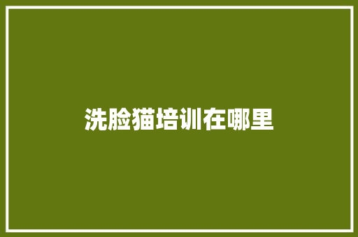 洗脸猫培训在哪里