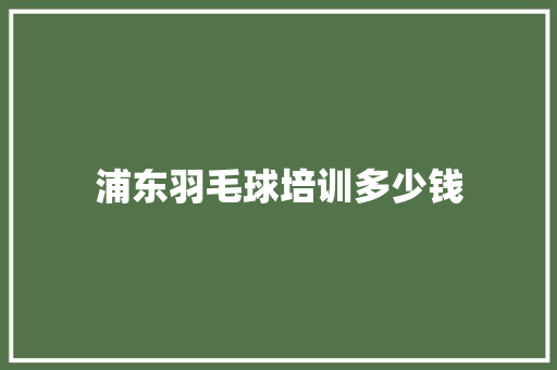 浦东羽毛球培训多少钱