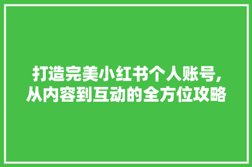 打造完美小红书个人账号,从内容到互动的全方位攻略