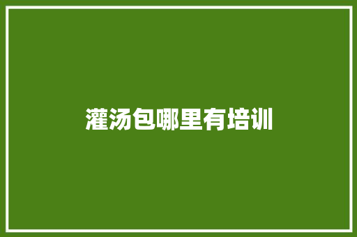 灌汤包哪里有培训