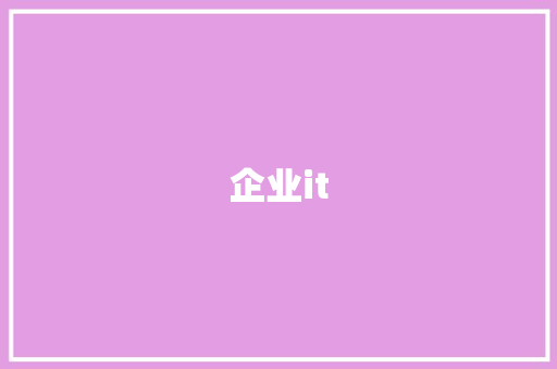 企业it