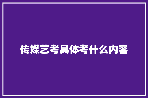 传媒艺考具体考什么内容