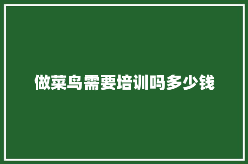 做菜鸟需要培训吗多少钱