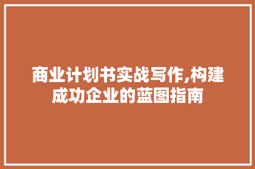 商业计划书实战写作,构建成功企业的蓝图指南