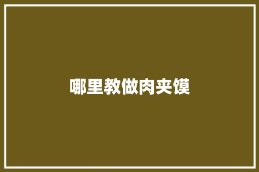 哪里教做肉夹馍