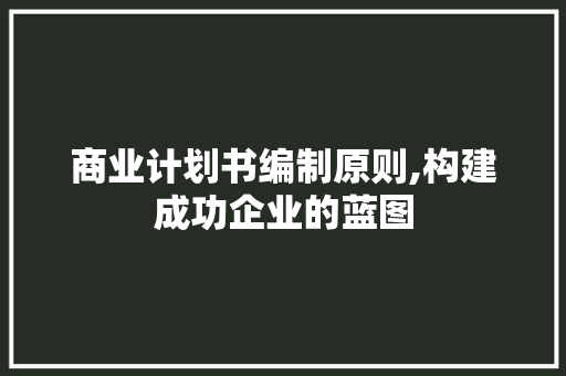 商业计划书编制原则,构建成功企业的蓝图