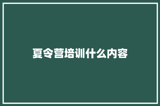 夏令营培训什么内容