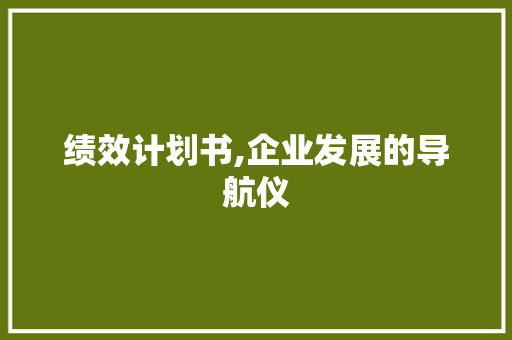 绩效计划书,企业发展的导航仪