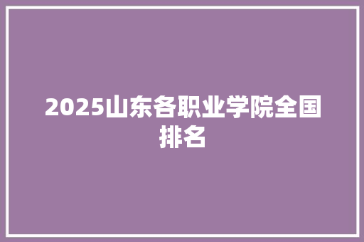 2025山东各职业学院全国排名