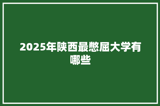 2025年陕西最憋屈大学有哪些
