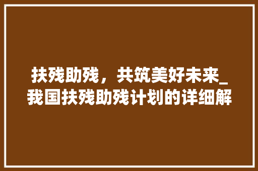 扶残助残，共筑美好未来_我国扶残助残计划的详细解读