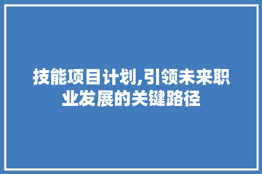 技能项目计划,引领未来职业发展的关键路径