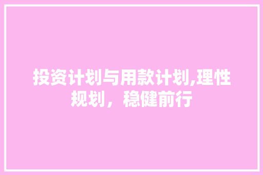投资计划与用款计划,理性规划，稳健前行