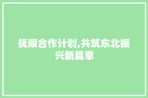 抚顺合作计划,共筑东北振兴新篇章