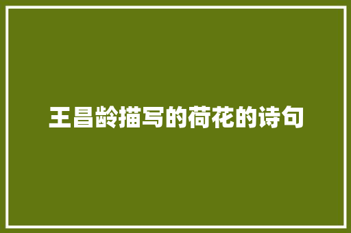 王昌龄描写的荷花的诗句