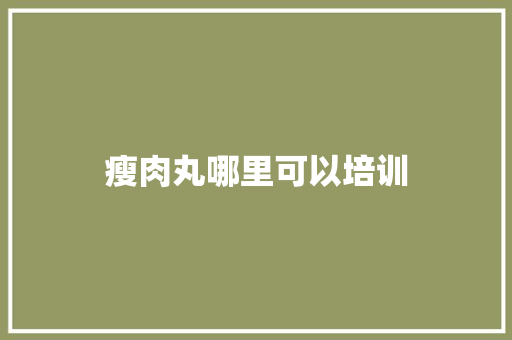 瘦肉丸哪里可以培训 成语汇编