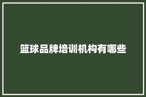 篮球品牌培训机构有哪些