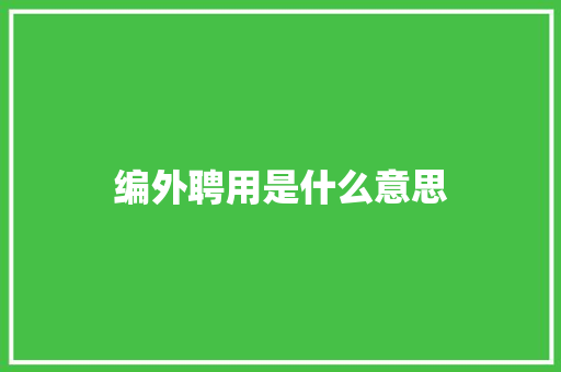 编外聘用是什么意思