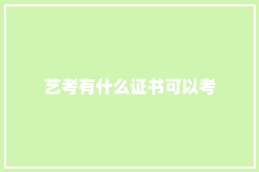 艺考有什么证书可以考