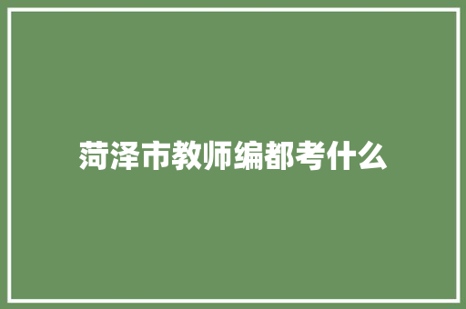 菏泽市教师编都考什么