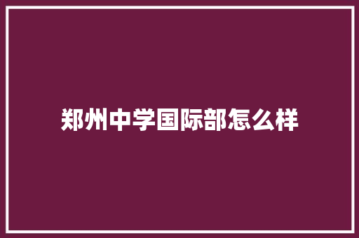 郑州中学国际部怎么样