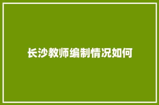 长沙教师编制情况如何