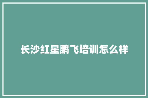 长沙红星鹏飞培训怎么样