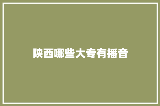 陕西哪些大专有播音