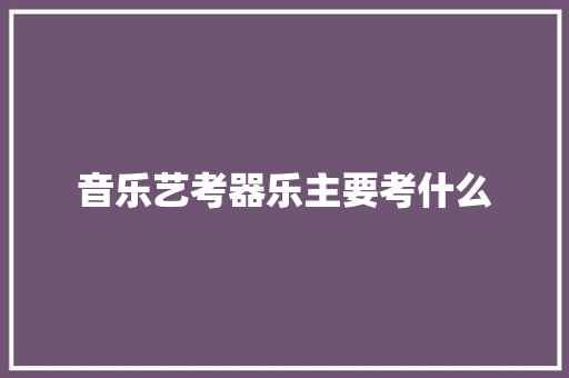 音乐艺考器乐主要考什么
