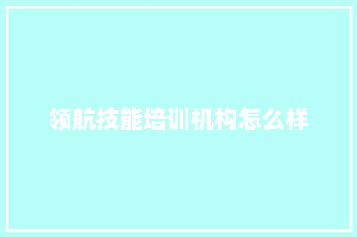 领航技能培训机构怎么样