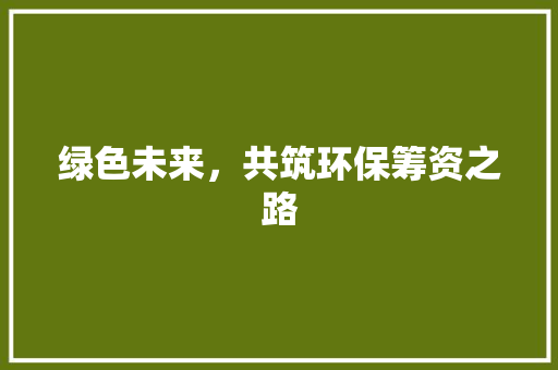 绿色未来，共筑环保筹资之路